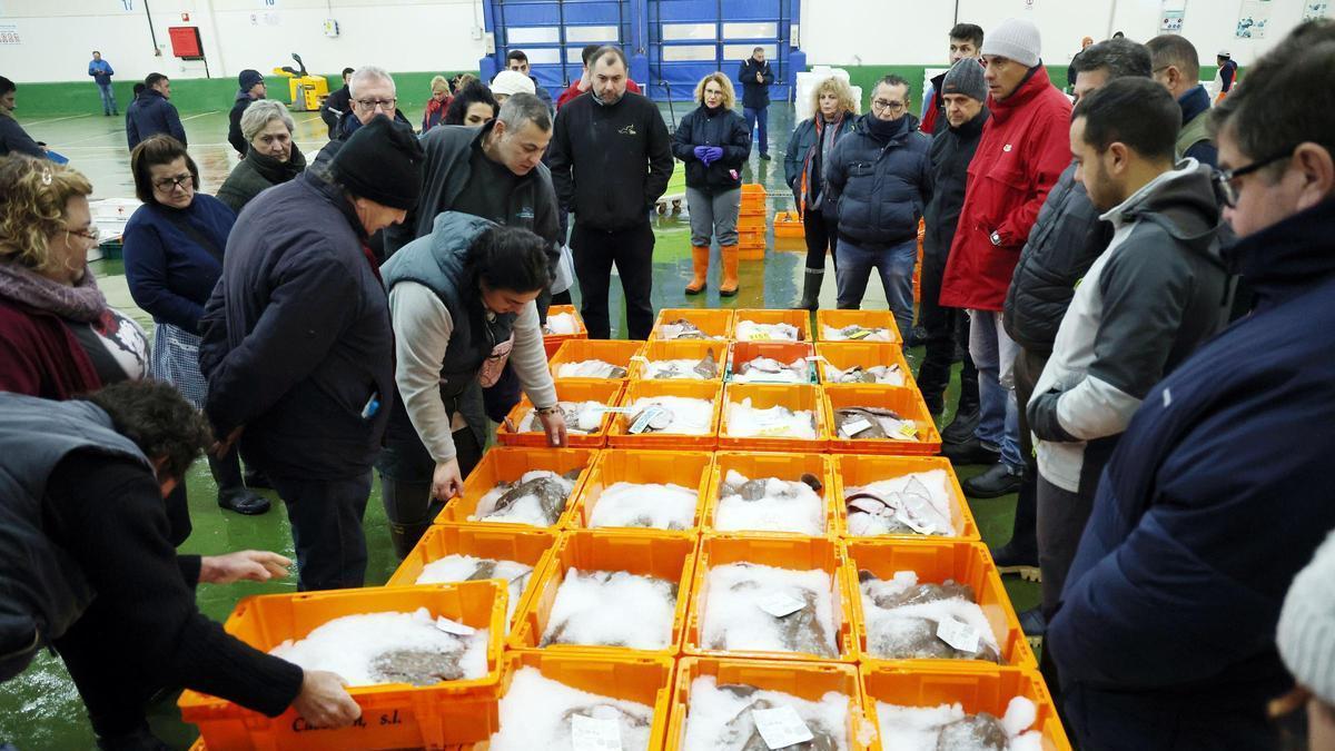 Gente trabajando en la lonja de pescado de Vigo.