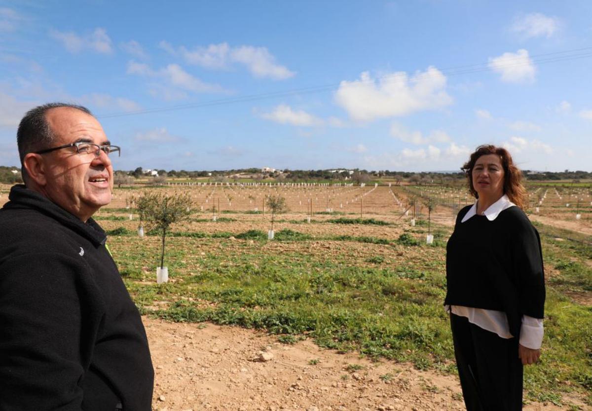 Cas Majoral, un proyecto agrario pionero en Formentera  | C.C.