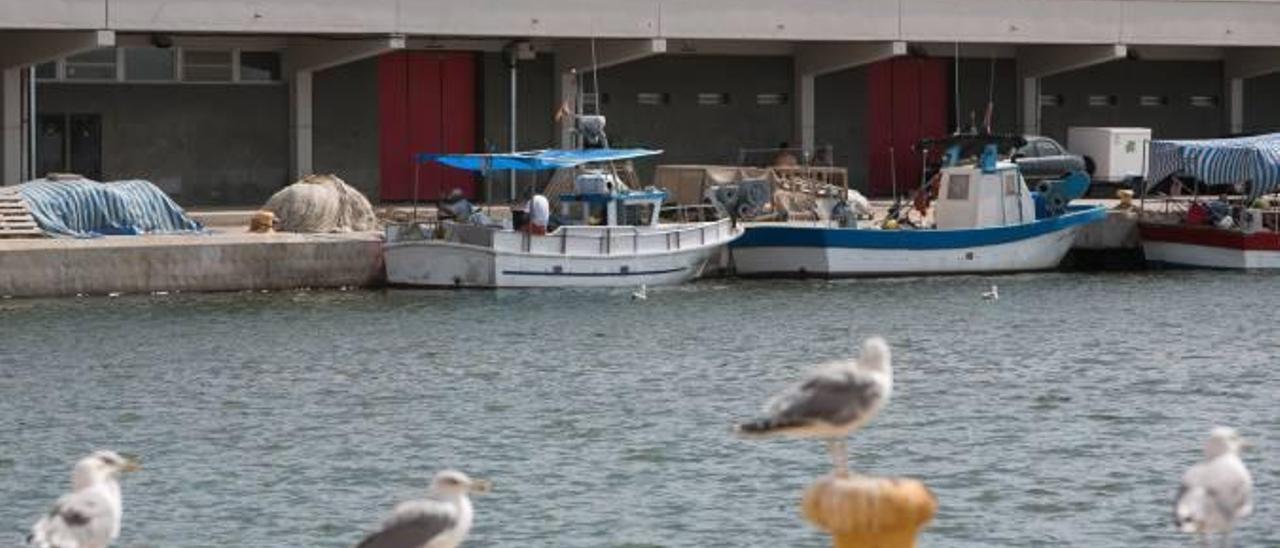 Barcas de pesca amarradas frente al edificio de la Lonja del Pescado de Alicante, cerrada en 2006 tras la quiebra de la Cofradía