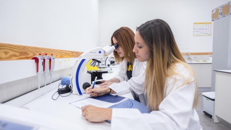 Prácticas en el Laboratorio de Biología Molecular.