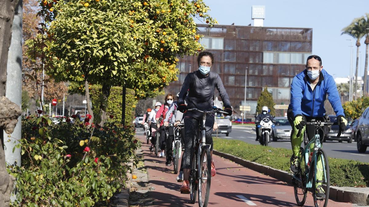 Ciclistas recorren la ciudad en dirección a la zona del Guadalquivir con motivo de la iniciativa La Manzana Verde