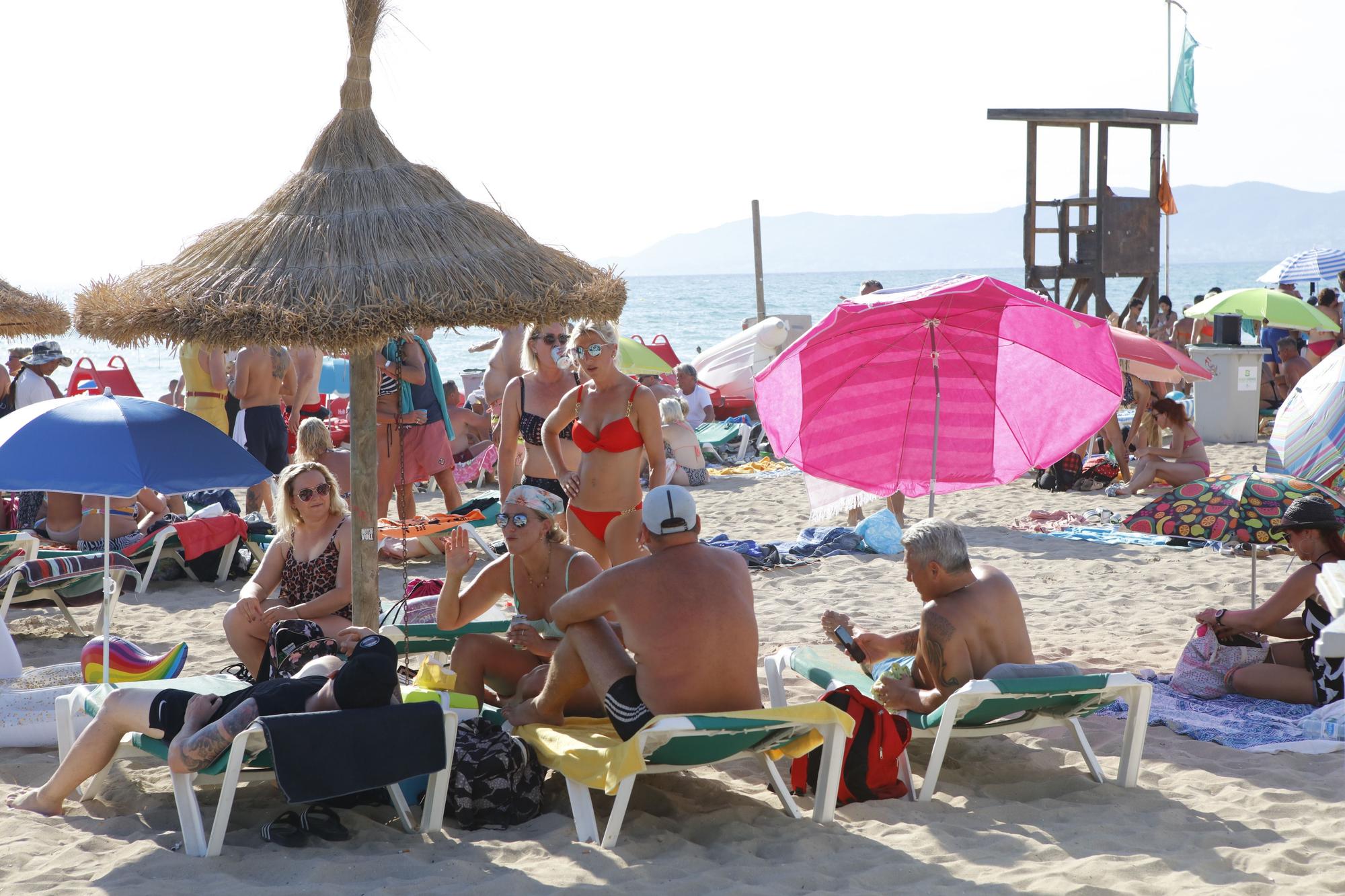 Die Kölsche  Woche an der Playa de Palma ist gestartet