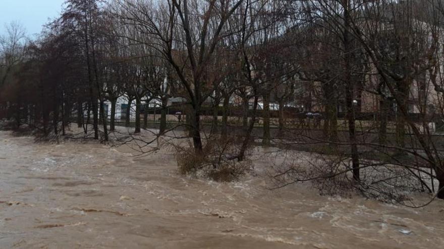 El Fluvià, al seu pas per Olot.