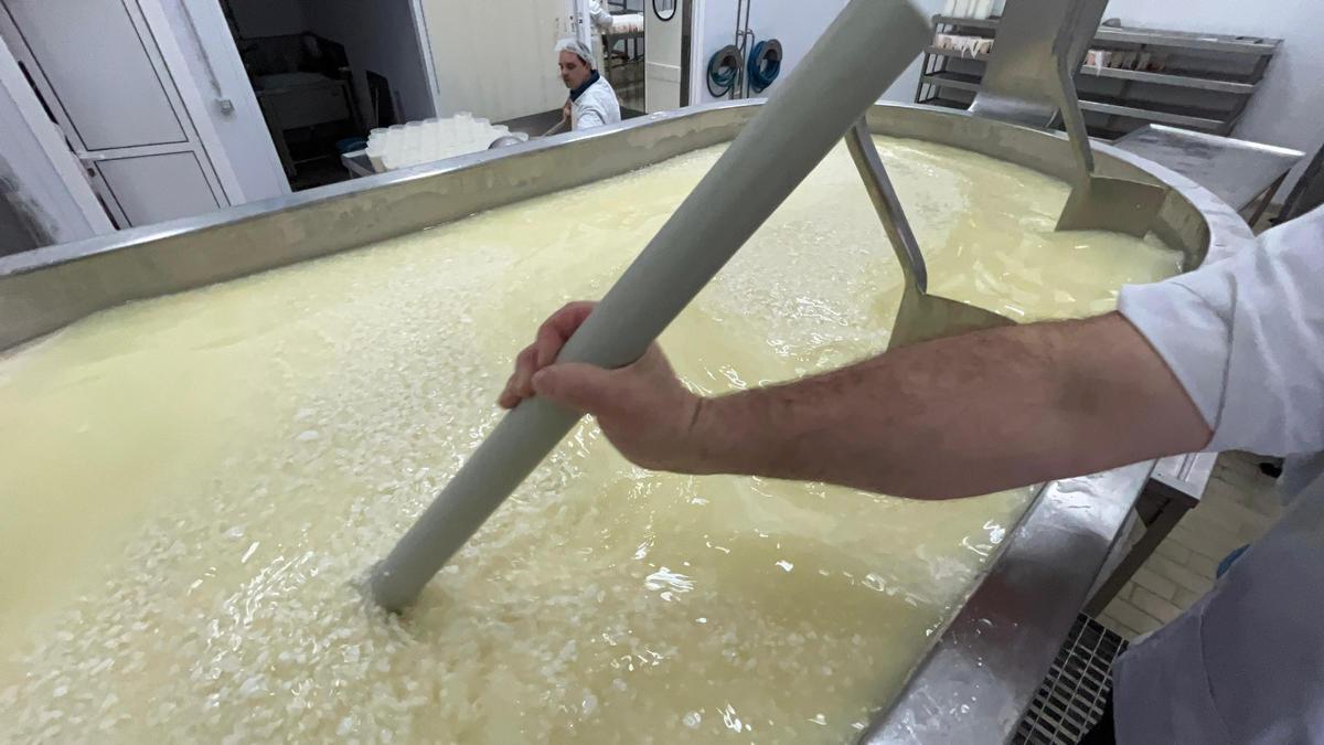 EN IMÁGENES: La quesería La Arquera y El Guaje, de Salas, "a pleno rendimiento" en la producción de Afuega'l Pito