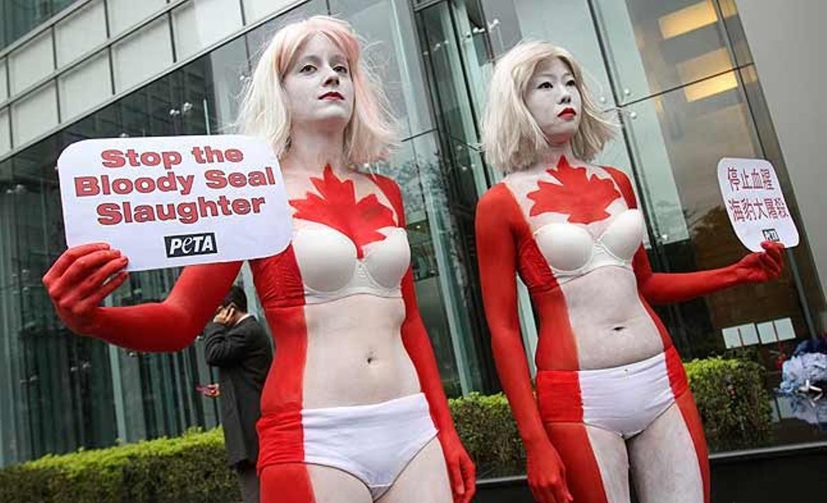 Activistes de PETA Àsia, amb els seus cossos pintats com la bandera de Cánada, amb cartells per protestar contra la matança de foques d’aquest país als afores de l’oficina de comerç del Canadà, a Taipei (Taiwan)
