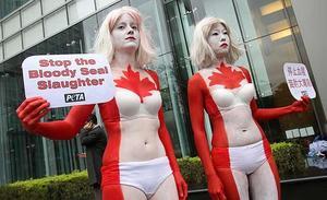 Activistes de PETA Àsia, amb els seus cossos pintats com la bandera de Cánada, amb cartells per protestar contra la matança de foques d’aquest país als afores de l’oficina de comerç del Canadà, a Taipei (Taiwan)