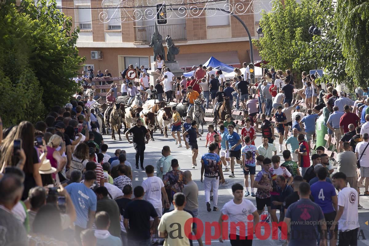 Séptimo encierro de las Fiestas de Moratalla