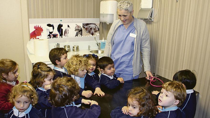 La veterinaria Belén López -en las imágenes de izquierda y derecha- muestra las instalaciones del hospital. Arriba y abajo los escolares observan a &quot;Shiba&quot; comiendo.