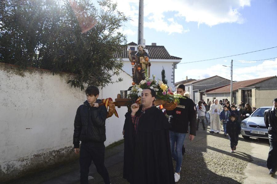 Fiesta de San Antón en Monfarracinos