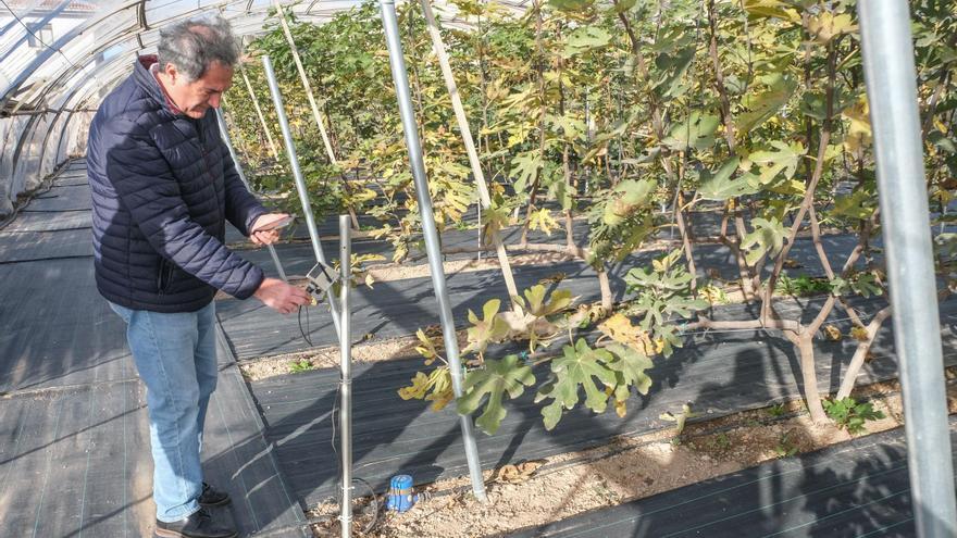 Mil agricultores se forman en técnicas punteras para hacer rentables los cultivos