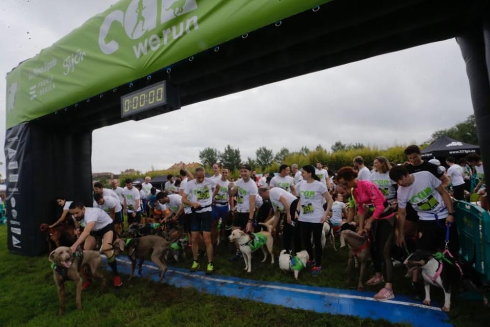 "Can We Run" reúne a más de 400 perros y corredores en el Parque Fluvial de Viesques, en Gijón.