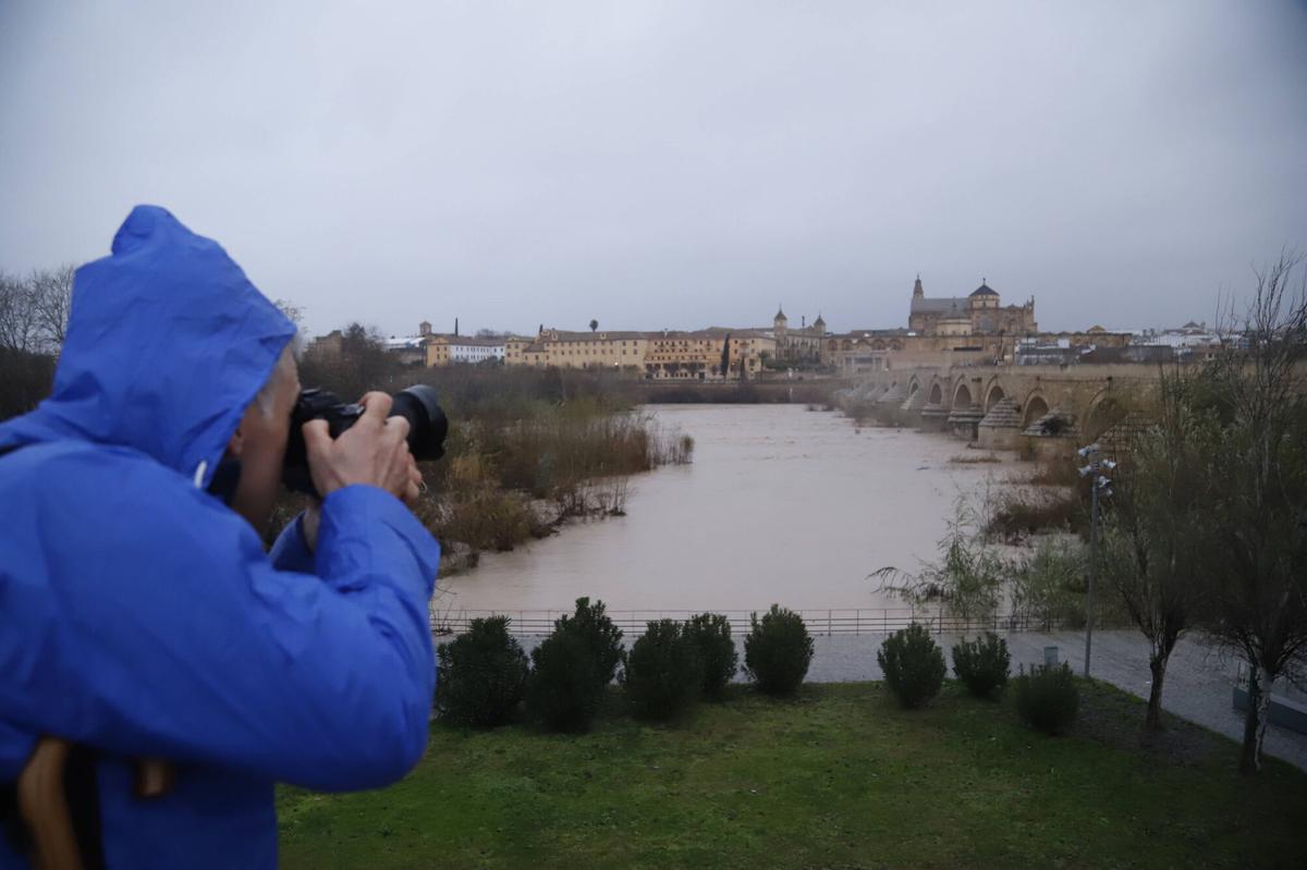 Estado del río a su paso por Córdoba este miércoles.
