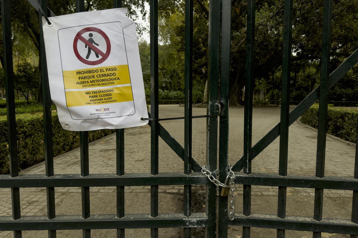El parque de María Luisa, en Sevilla, cerrado, en previsión de la llegada de la borrasca Bernard.