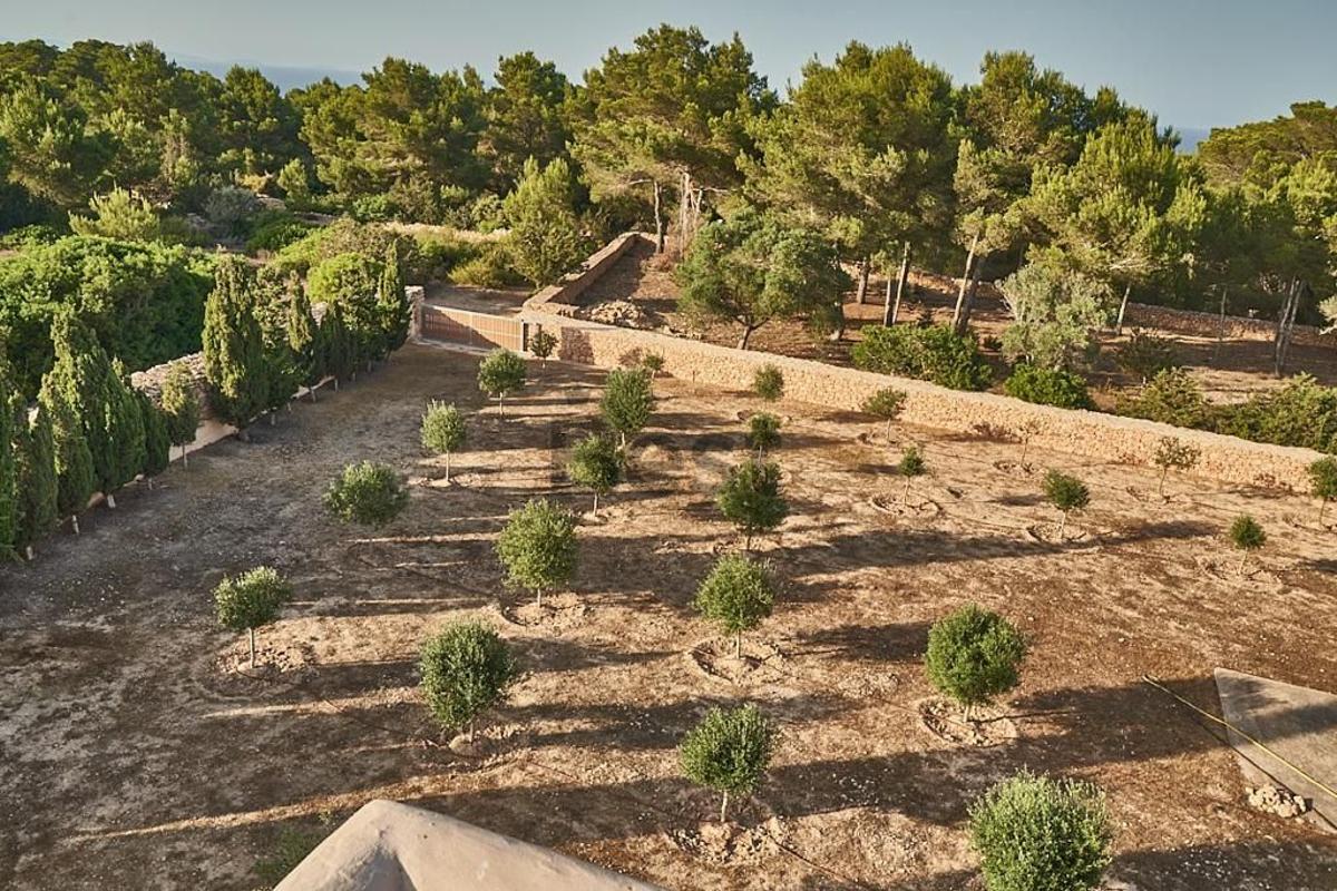 El exterior de la vivienda