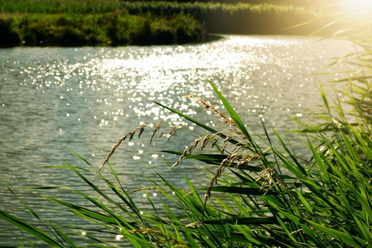 Más de la mitad de las aguas subterráneas españolas están contaminadas por nitratos, según Greenpeace