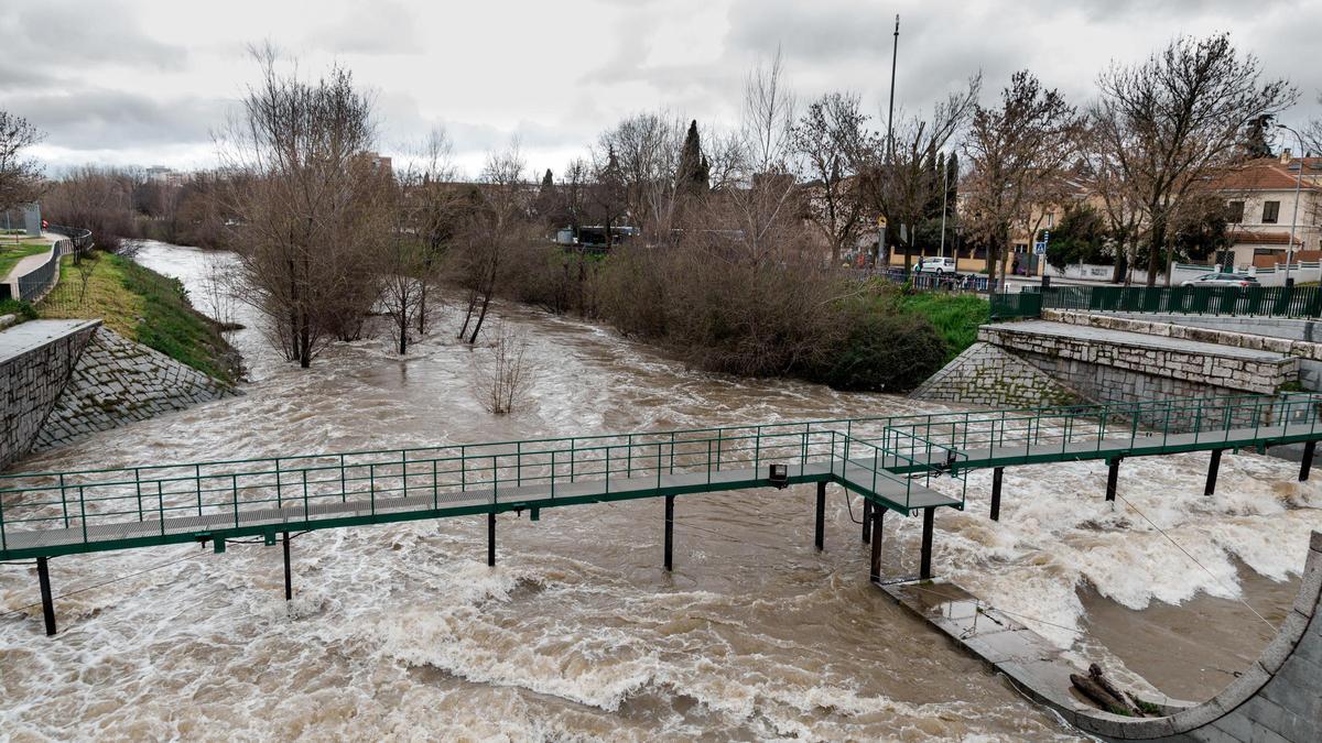 El cauce del río Manzanares