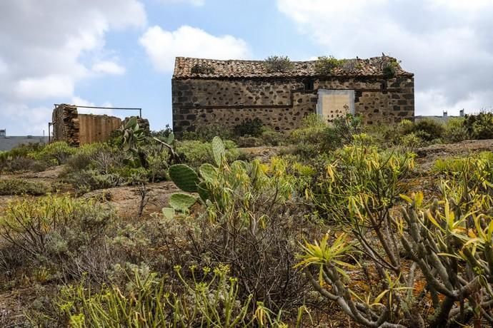 Las Palmas de Gran Canaria. yacimiento Lomo de San Gregorio, Ciudad del campo.  | 28/03/2019 | Fotógrafo: José Carlos Guerra