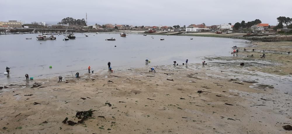 "Mareas vivas" en Galicia.