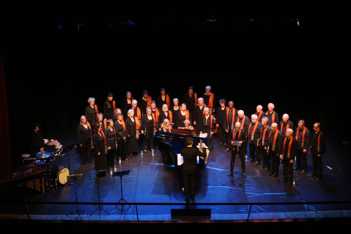 Actuación del Coro del canto en al tarde de este sábado en el Auditorio de Cangas.