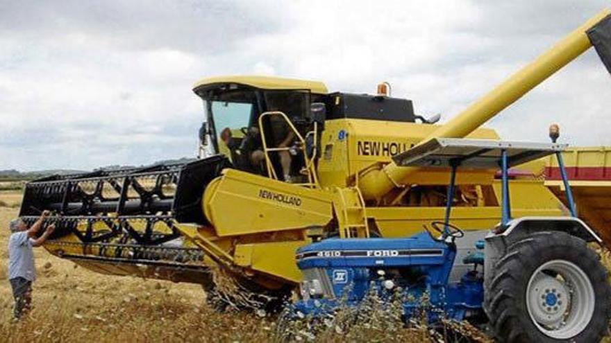 Una máquina cosechadora recorre un cultivo de cereales en una finca próxima a María de la Salut