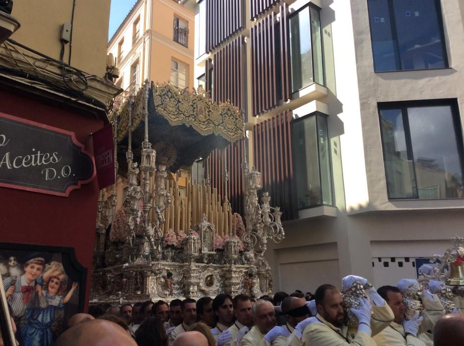 Domingo de Ramos | Lágrimas y Favores