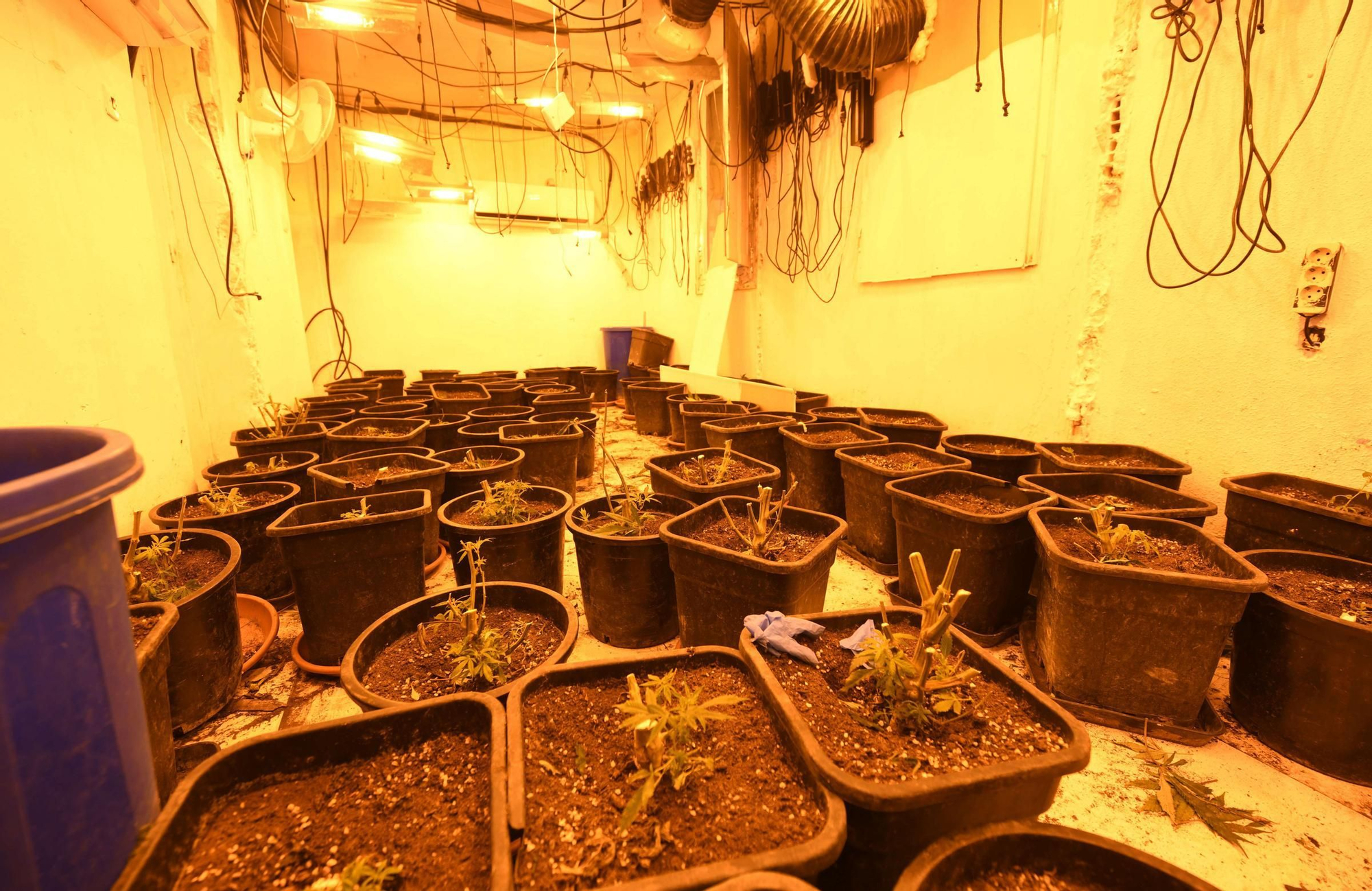 La redada contra el narcotráfico en el Polígono de La Paz, en imágenes