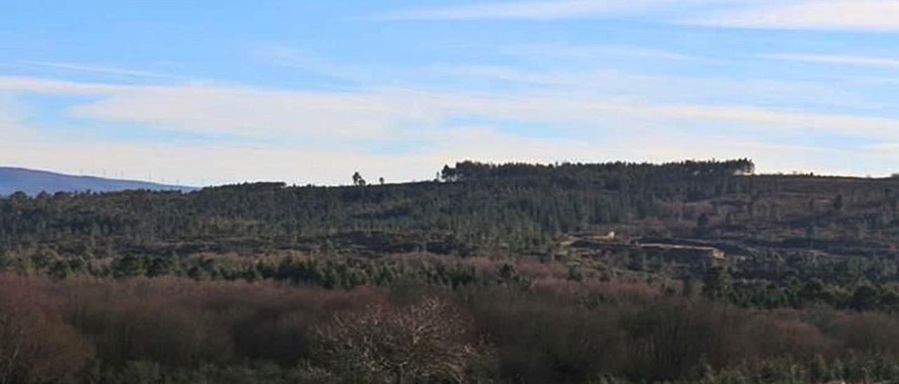 Vista, desde el lugar de Vidueiros, de la loma donde se ubicará el molinillo número seis.