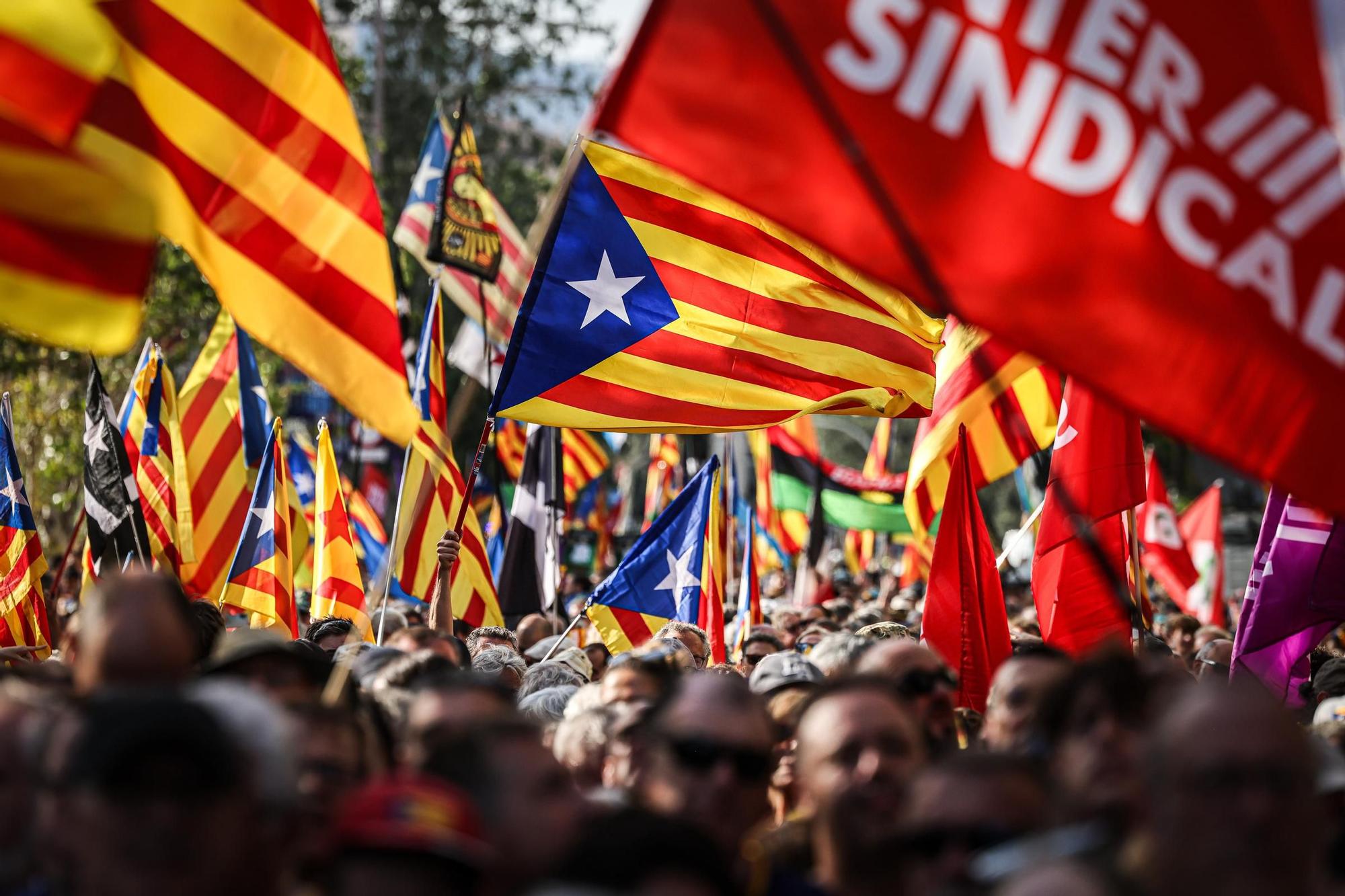 La manifestació de l'ANC per la Diada a Barcelona