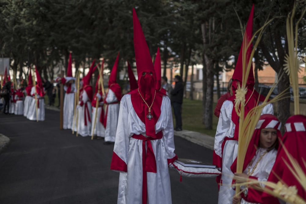 Semana Santa en la provincia 2019 | Domingo de Ram