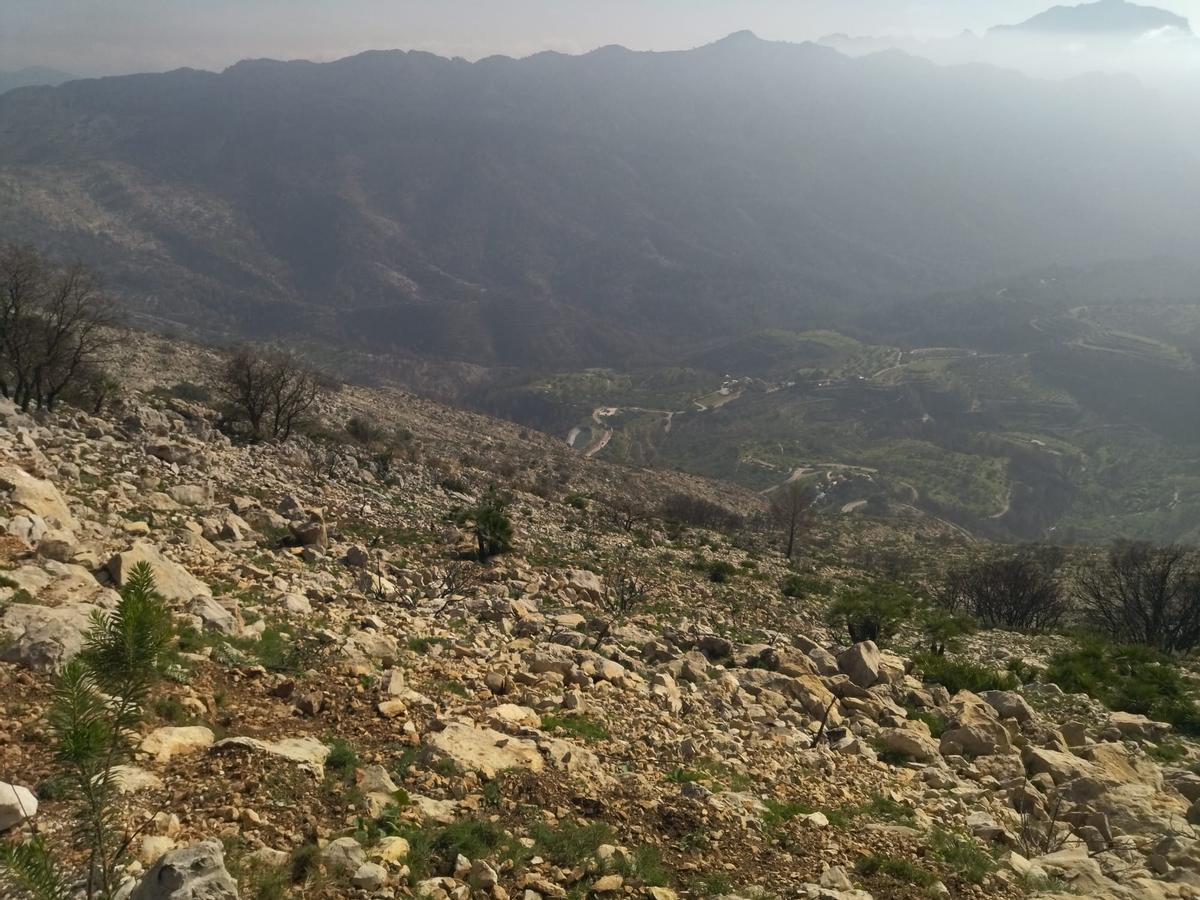 Desolación, erosión y bandadas de cuervos en las laderas del Coll de Rates arrasadas hace 8 meses por el fuego (imágenes) Desolación, erosión y bandadas de cuervos en las laderas del Coll de Rates arrasadas hace 8 meses por el fuego (imágenes)