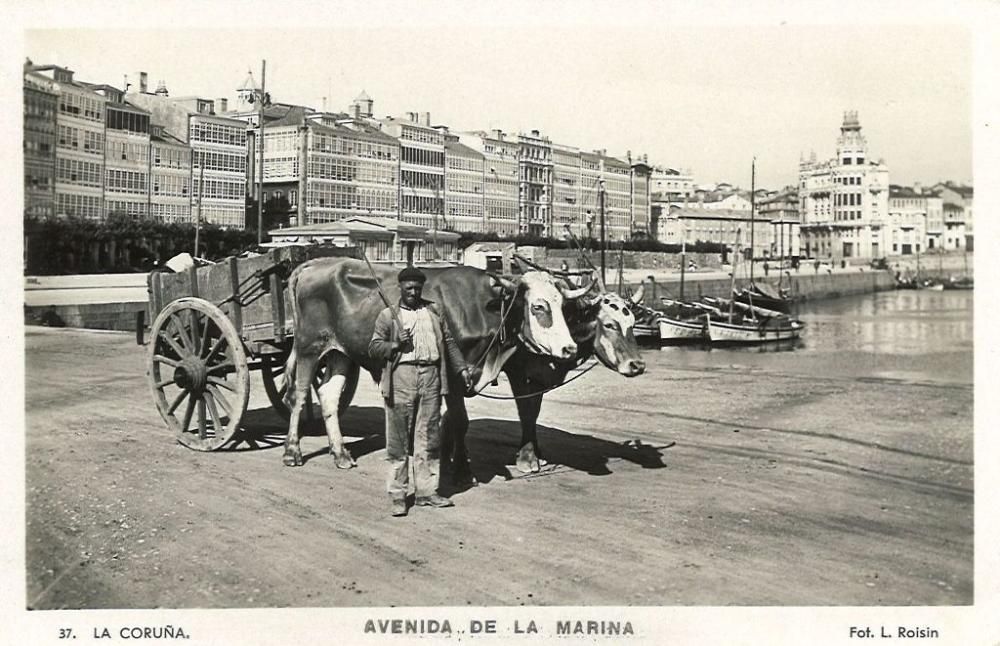 La Diputación inaugura esta muestra para conmemorar el Día Internacional de los Archivos