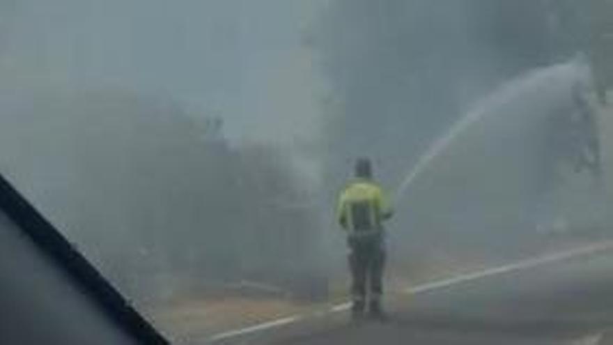 Vídeo | Incendio aparatoso en la carretera de Mairena del Alcor en sentido Brenes