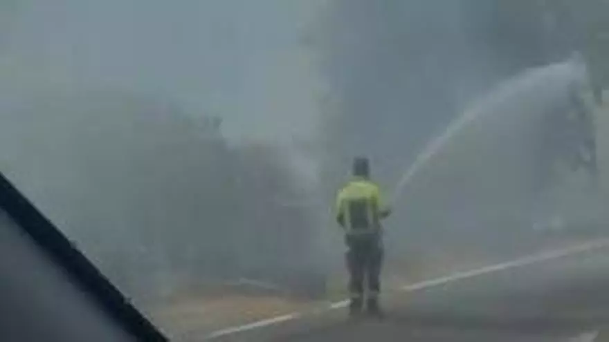 Incendio aparatoso en la carretera de Mairena del Alcor en sentido a Brenes