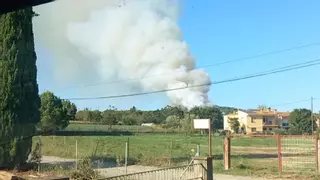 Alarma per un incendi en un bosc de Palamós