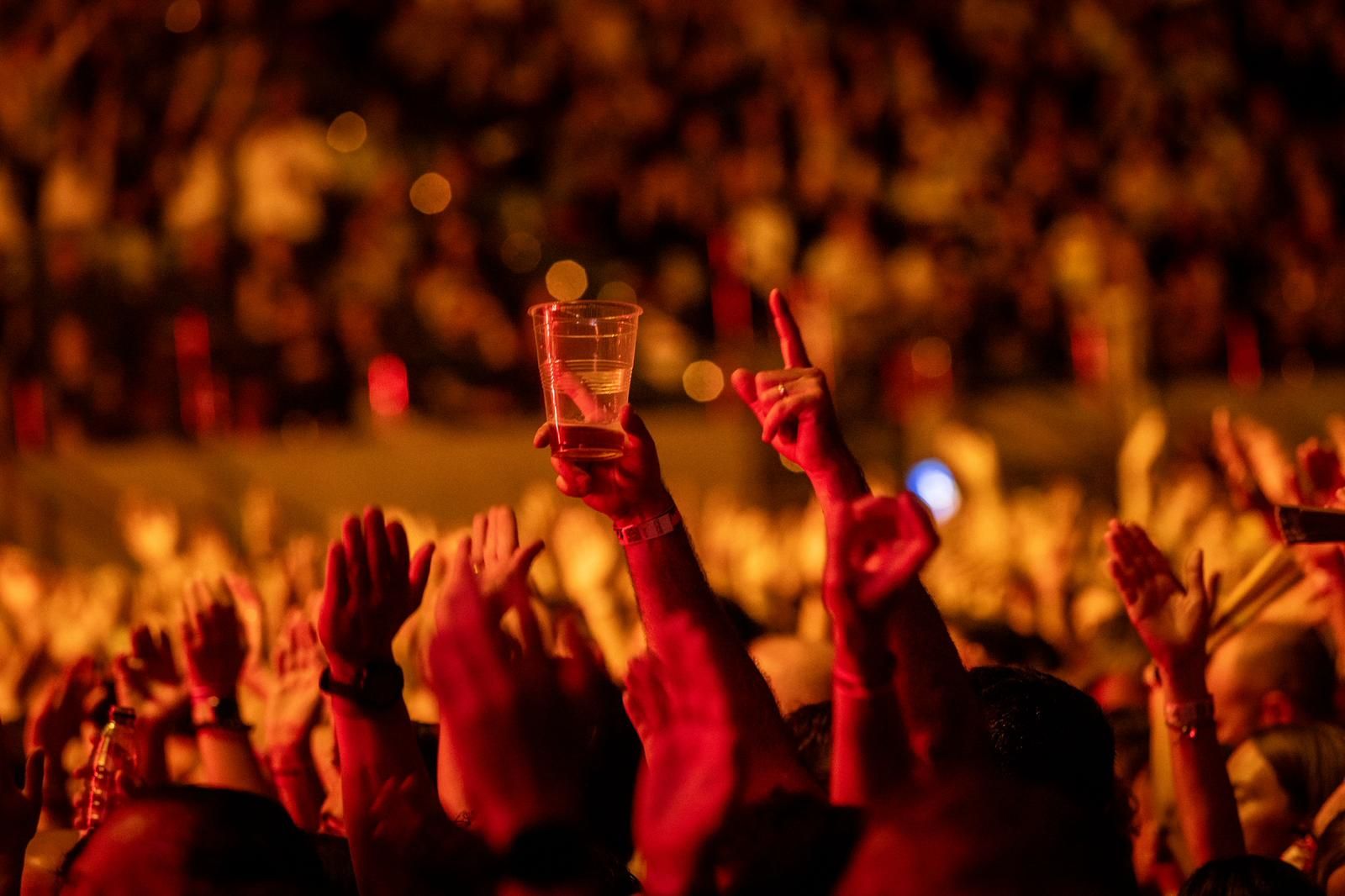 EN IMÁGENES | Concierto de Leiva en Zaragoza