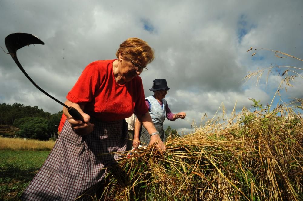 Valores ancestrales simbolizados en el trigo