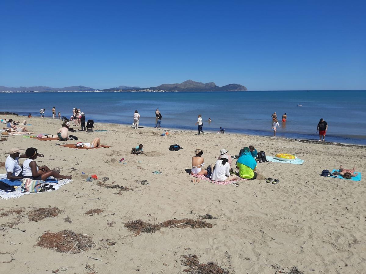 FOTOS | Mallorca se adelanta al verano: Son Bauló, en Can Picafort, se llena de bañistas