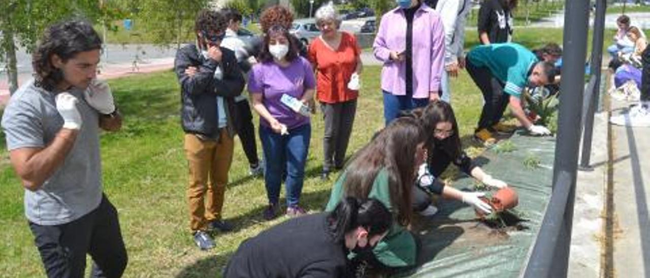 Alumnado de Farmacología y miembros de la Comisión Ambiental durante la jornada de plantación del huerto en Fisioterapia. |   // FDV