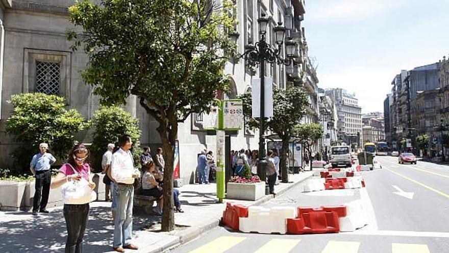 Los singulares árboles desaparecerán de Policarpo Sanz.