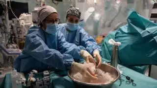 La demora per a un trasplantament d’òrgan creix un 24%