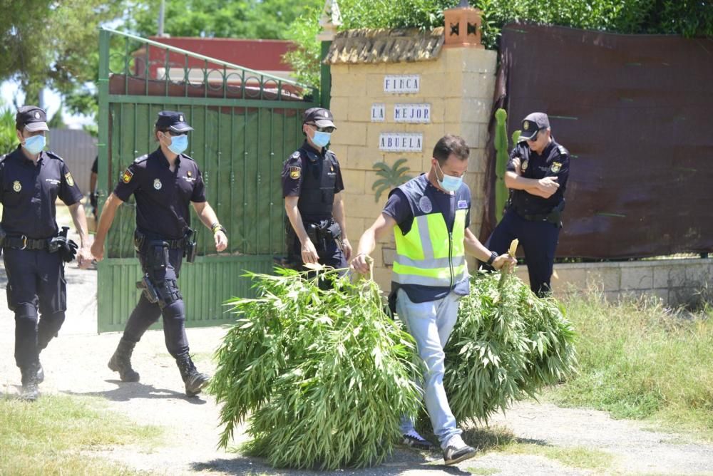 Policías actúan en la finca de El Palmero.