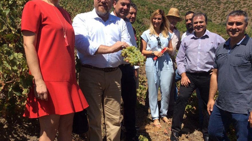 La FAO reconoce la uva pasa moscatel como Sistema Importante del Patrimonio Agrícola Mundial.