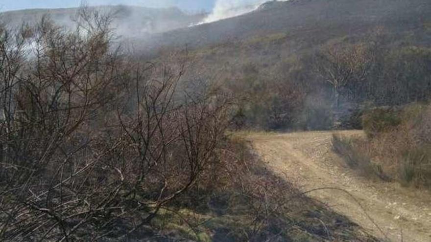 Imagen del incendio de Carballeda de Valdeorras. // @batallonT-15