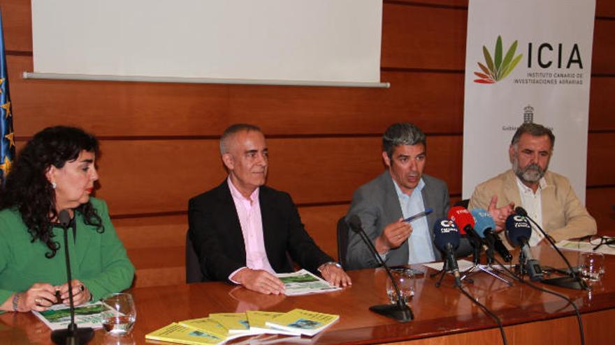 María del Carmen Jaizme, Carlos Castilla, Narvay Quintero y José Luis Porcuna, ayer durante la presentación del máster.