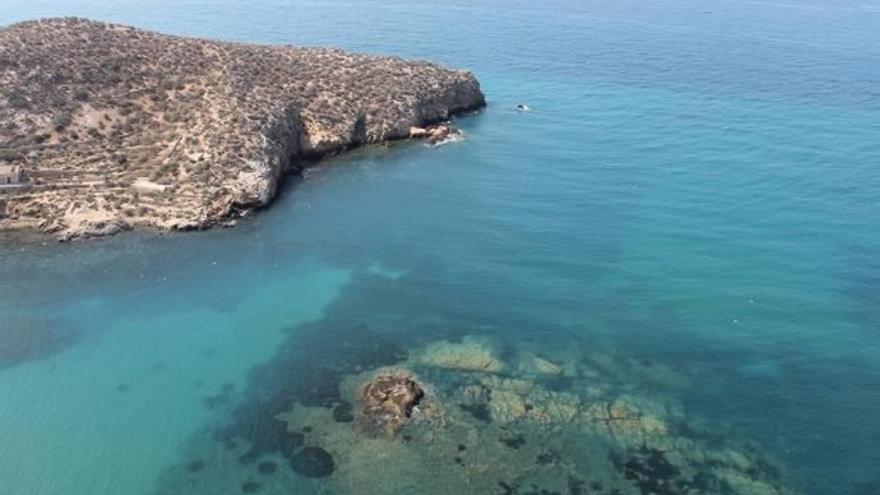 Los valles submarinos del Escarpe ya son Zona de Especial Conservación