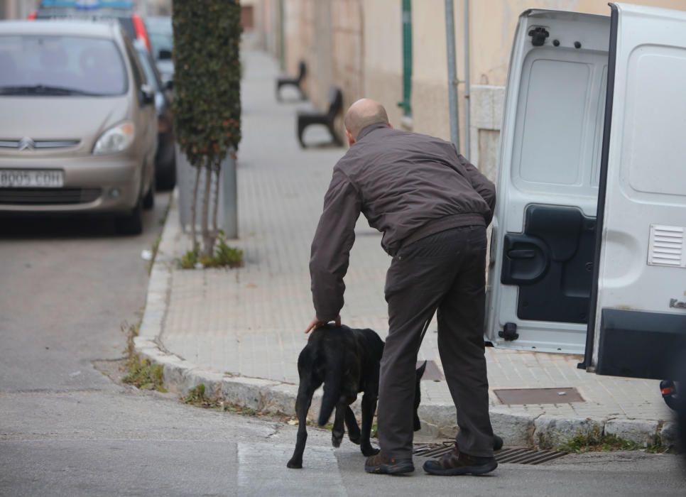 Golpe al narcotráfico en sa Pobla