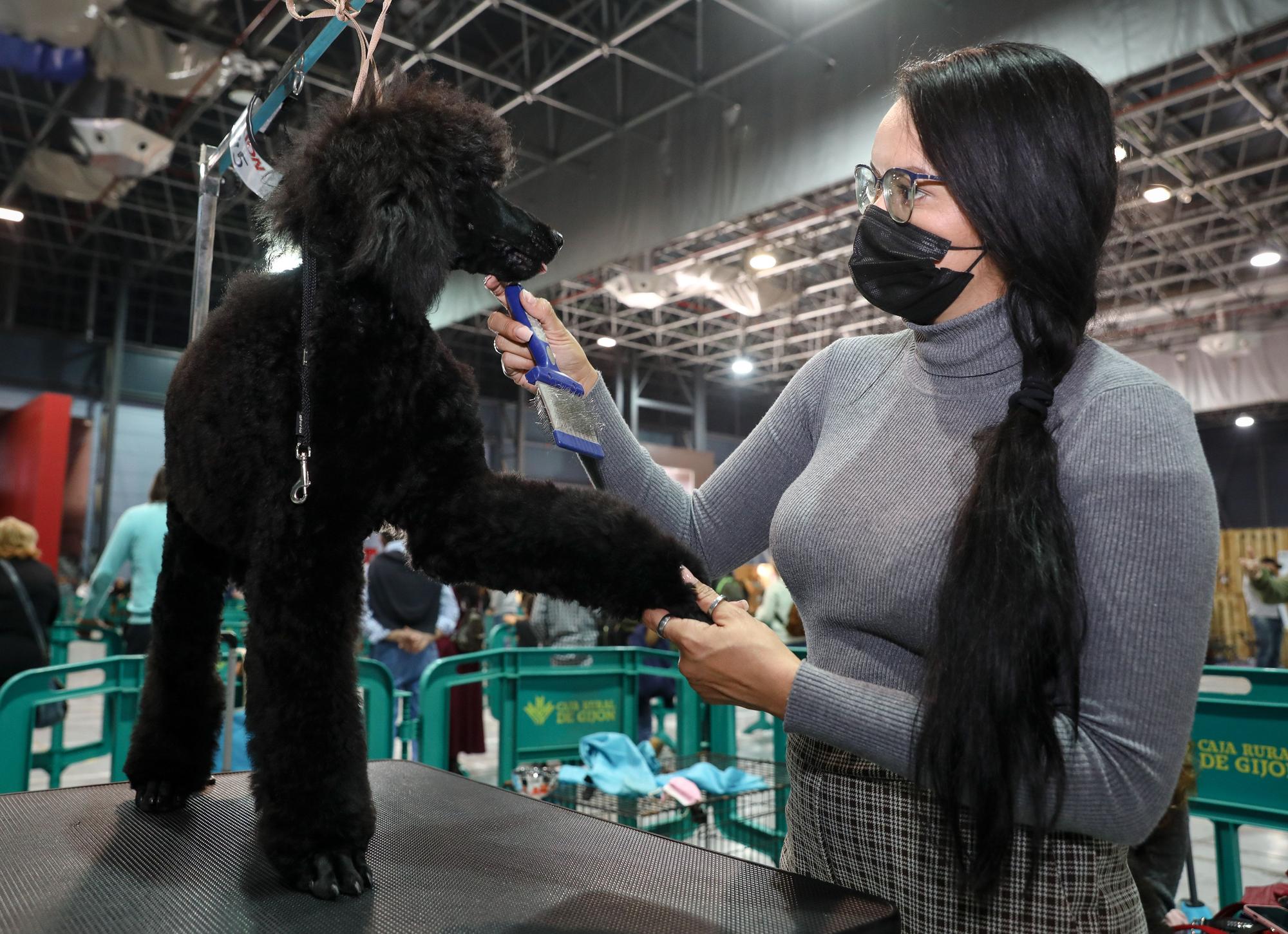 Broche familiar a la feria Espacio Mascotas