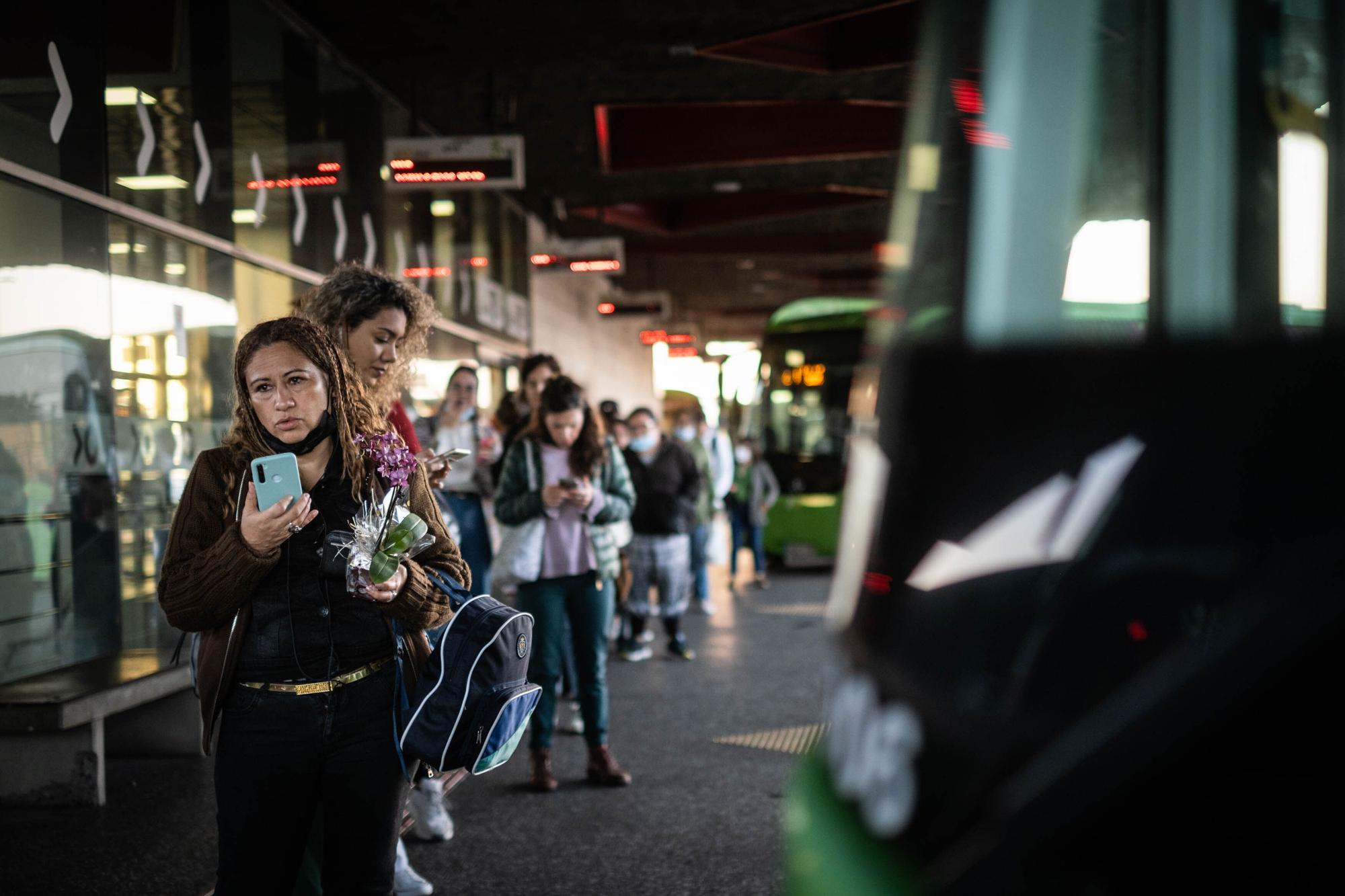 Puesta en marcha de la gratuidad del transporte público.