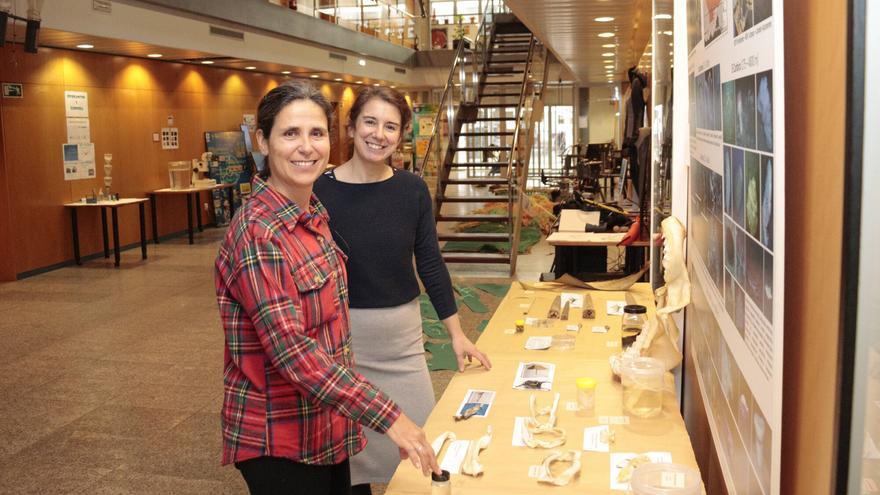 El Oceanográfico de Gijón se reafirma en la Semana de la Ciencia: “No somos un acuario, somos un centro de investigación”