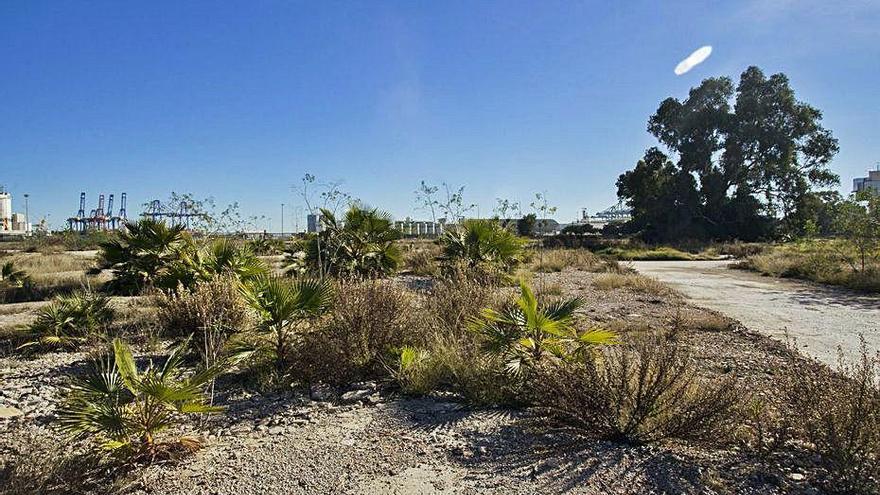 Terrenos de Moyresa y futuro parque de Natzaret